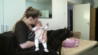 Legătura specială dintre un câine şi un bebeluş din Mureş. Cei doi sunt de nedespărţit