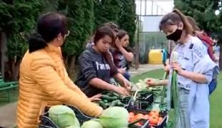Elevii unui liceu din Maramureş cultivă legume, pe care le scot apoi la vânzare