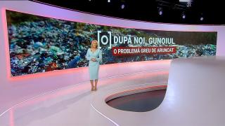 Jurnalele Observator, cele mai urmărite programe de ştiri