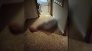 Bătrâni "executați" în aziluri private. O femeie ne-a povestit drama prin care a trecut mama ei: "Făcuse deja găuri în piele. Urla din toate puterile"