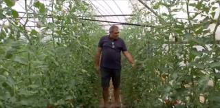 Mesajul unui legumicultor din Dolj pentru politicienii care au uitat promisiunile făcute în campanie: ”Noi, ăştia care ştim să muncim, nu suntem milogi”