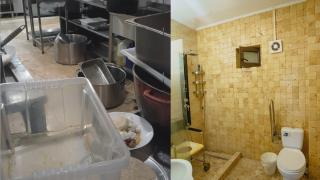 O bătrână cu Alzheimer dusă la azil a fost luată peste 3 luni în sicriu. Soţul bănuieşte că tratamentul greşit a provocat tragedia: "E un fel de lagăr de exterminare"