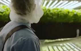 Cum vor arăta fermele viitorului? Plantele vor putea fi cultivate fără să fie nevoie de pământ sau de lumina soarelui