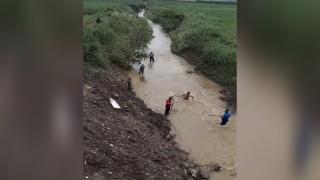 Scandal în Vaslui, după ce peştii au evadat dintr-o baltă privată, iar sătenii au început să-i pescuiască