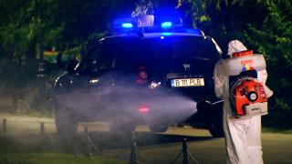 După şobolani şi căpuşe, parcurile sunt pline acum şi de ţânţari. Bucureştenii trebuie să suporte pe pielea lor înţepăturile