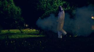 Invazie de ţânţari în Bucureşti. Insectele se înmulţesc necontrolat şi pot transmite boli periculoase, inclusiv virusul West Nile