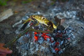 Gura Portiței, o oază de liniște cu căsuțe lipovenești și pește perpelit pe plită