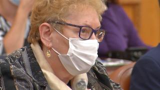 Renate Weber a dat în judecată Parlamentul, pentru că ar fi fost revocată din funcţia de Avocat al Poporului în mod neconstituţional