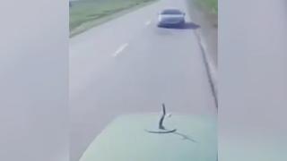 Imagini teribile de la momentul în care o maşină în care se aflau doi bărbaţi se loveşte violent de un tractor, în Vrancea