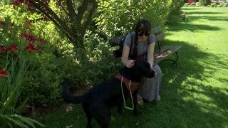 Chilli, labradorul care luminează drumul unei tinere nevăzătoare din Timișoara. Simona este pierdută fără suportul câinelui ghid