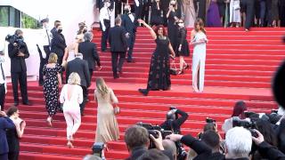 Festivalul de film de la Cannes a adus laolaltă starurile cinematografiei. Patru producţii româneşti se bat pentru premii