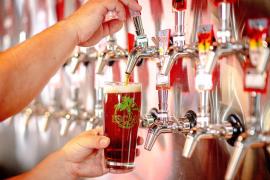 Elevii şi studenţii îşi pot petrece vacanţa de vară la muncă. Statul recompesează firmele care angajează