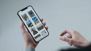 iOS 15, sistemul de operare de nota 10. Cu ce îmbunătăţiri vine noua versiune