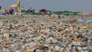 Administratorii de plaje din Mamaia preferă să pună şezlongurile în zone interzise, pe malul mării, pentru a nu pierde clienţii