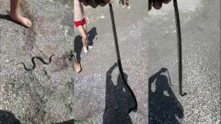 Un şarpe a fost zărit pe plaja din Venus. Reacţia turiştilor: Aoleu, un şarpe viu