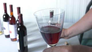 Producţia vinurilor din diverse fructe, ideea de succes a unui producător din Bihor. "Am vândut instant tot"