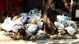 În căutarea de soluţii pentru gunoiul din Bucureşti: "E plin de muşte, viermi, gândaci şi chiar şobolani. Mirosul, dacă vă apropiaţi nu o să rezistaţi"