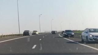 Imagini ireale surprinse pe Autostrada Soarelui: zeci de maşini au circulat pe contrasens pentru a evita un blocaj imaginar