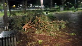 O furtună puternică a făcut prăpăd, noaptea trecută, în Cluj-Napoca: "Am 57 de ani şi aşa ceva încă n-am văzut"