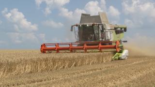 Producţie record de grâu în 2021. Agricultorii culeg roadele muncii, după o întârziere de aproximativ 3 săptămâni din cauza vremii extreme