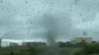Tornada de ţânţari în Rusia, miliarde de insecte au fost prinse într-un vârtej puternic