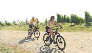 Pe două roţi, în drum spre crame. 30 de kilometri pe bicicletă, în toiul verii, apoi îţi potoleşti setea cu un vin bun