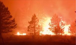 Mii de oameni au fost evacuaţi, din cauza incendiilor de vegetaţie din SUA. New York-ul a fost acoperit de smog
