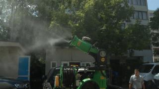 Țânțarii purtători ai virusului West Nile, în pacurile din Capitală. Patru persoane au ajuns deja la spital suspecte de infectare