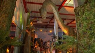 Expoziţie impresionantă cu dinozauri în mărime naturală, la Cluj Napoca. Efectele speciale i-au condus pe copii în perioada Jurassic