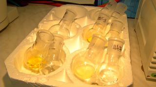 Zeci de noi cazuri de norovirus în Râşnov. DSP amână de pe o zi pe alta analizele esenţiale