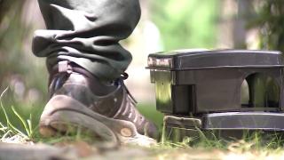 Avertisment al specialiştilor în legătură cu criza şobolanilor din Bucureşti: "Femelele devin mai agresive şi putem fi muşcaţi mai uşor"