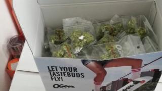 Un importator din Chiajna a comandat un TIR cu banane, dar a primit jumătate de tonă de cocaină. Poliţia încearcă să afle adevăratul destinatar