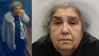 Tehnica prin care românca Lulu Lăcătuș a furat diamante de 5 milioane €, în Anglia. "Măiestrie" demnă de filmele de la Hollywood