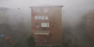 O fetiţă de 6 ani, ucisă de un arbore uriaş doborât de vijelie, în Mureş. Furtunile au făcut prăpăd în ţară