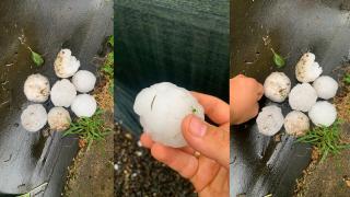 Furtunile au făcut ravagii într-un sat din Maramureş. Acoperișurile caselor au fost ciuruite de grindină