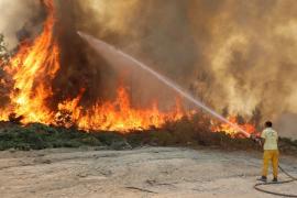 Cel mai mare val de căldură din ultimele patru decenii a produs incendii devastatoare în Turcia şi în Grecia