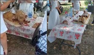 Familii de romi, petrecere cu purcei de lapte la proţap şi băutură, în faţa unui hotel din Mamaia - VIDEO