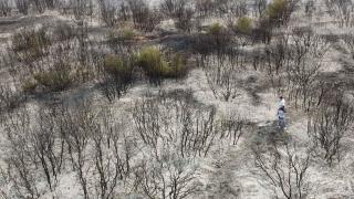 EXCLUSIV Observator, în mijlocul infernului din Grecia. Imagini apocaliptice în apropiere de vama Kulata