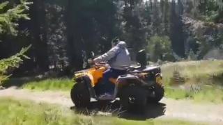 Proiectul Ministerului Mediului: confiscarea maşinilor din parcurile naţionale. "Ce spun ei, că şi ei vor să se bucure de natură"