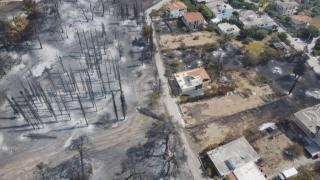 EXCLUSIV E stare de urgenţă în Evia: turiştii, evacuaţi direct de pe plajă. Trei focare sunt de neoprit: imaginile dezastrului filmate de echipa Observator