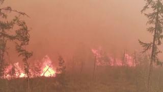 Incendiile au făcut prăpăd şi în Rusia. A fost decretată starea de urgenţă