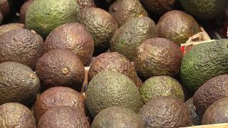 Românii preferă tot mai des fructele exotice. Importăm anual avocado în valoare de 40 de milioane de euro