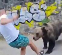 Un tânăr inconştient a văzut moartea cu ochii pe Transfăgărăşan după ce a vrut să fotografieze un urs: "Uite, prostu'! Bă, ești prost rău de tot, cumetre"