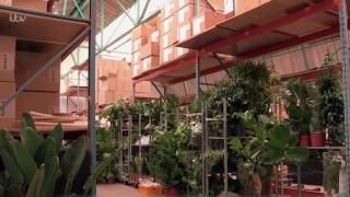 Hotel special pentru îngrijirea plantelor, ideea inedită a unui britanic. Cererea este uriaşă: "Peste 100 de oameni au rezervat în avans"