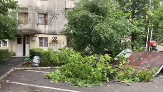 Acoperișuri smulse, copaci doborâți și mașini avariate în Suceava, după o furtună puternică