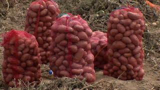 Guvernul vrea ca fermierii să se mute cu produsele din piață, pe Facebook. Producătorii nu privesc proiectul cu ochi buni