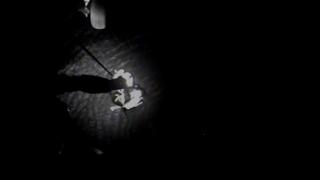 Misiune ca-n filmele de acțiune! Tânără de 23 de ani luată cu elicopterul de pe un iaht, din largul Oceanul Pacific