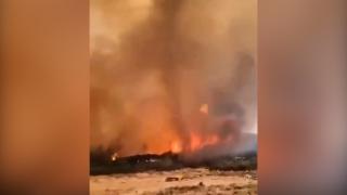 Imagini apocaliptice în Grecia. O "tornadă" de foc pârjolește totul în cale, în satul Vilia