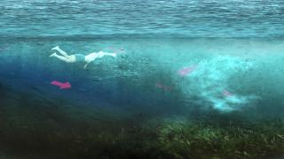 ANIMAŢIE GRAFICĂ. De ce curenţii de la mal îi pot păcăli chiar şi pe înotătorii cu experienţă. În fiecare an, zeci de oameni le cad pradă