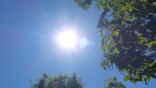 Septembrie vine cu temperaturi extrem de ridicate. Vara se va prelungi până în octombrie